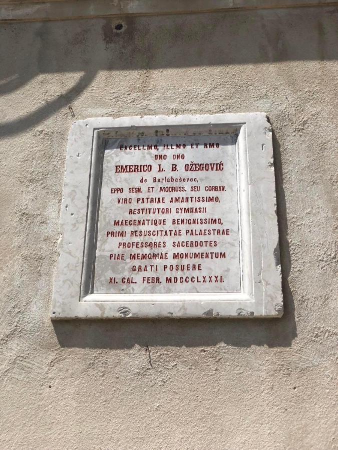 App Zora, Centar Senj